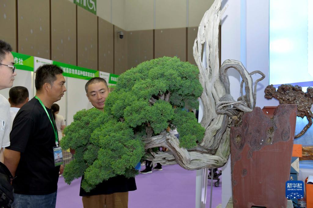 云顶娱乐网址411