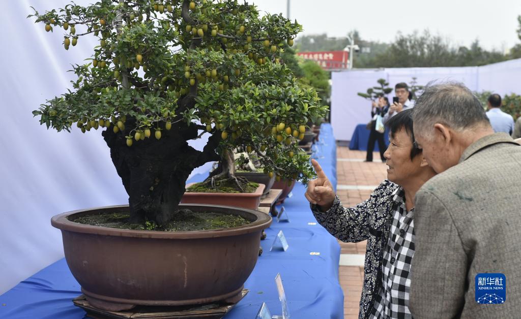恒丰娱乐网址